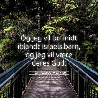 Picture 05 - 2 Mosebok 29:45 NORSK - Og jeg vil bo midt iblandt Israels barn, og jeg - Bible Verse Picture
