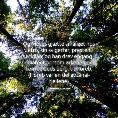 Picture 05 - 2 Mosebok 3:1 NORSK - Og Moses gjætte småfeet hos Jetro, sin - Bible Verse Picture