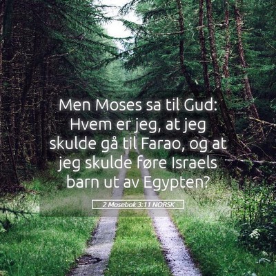 Picture 05 - 2 Mosebok 3:11 NORSK - Men Moses sa til Gud: Hvem er jeg, at jeg skulde - Bible Verse Picture