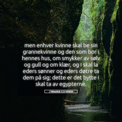 Picture 05 - 2 Mosebok 3:22 NORSK - men enhver kvinne skal be sin grannekvinne og den - Bible Verse Picture