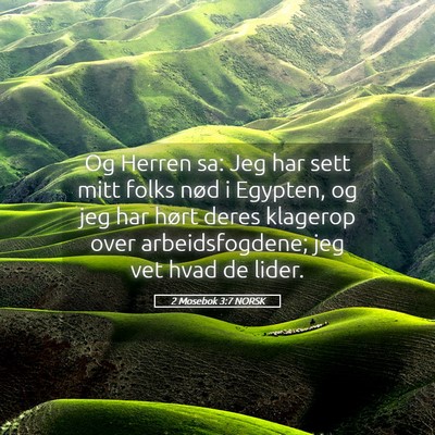 Picture 05 - 2 Mosebok 3:7 NORSK - Og Herren sa: Jeg har sett mitt folks nød i - Bible Verse Picture