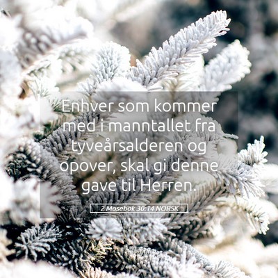 Picture 05 - 2 Mosebok 30:14 NORSK - Enhver som kommer med i manntallet fra - Bible Verse Picture