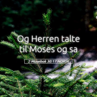 Picture 05 - 2 Mosebok 30:17 NORSK - Og Herren talte til Moses og - Bible Verse Picture