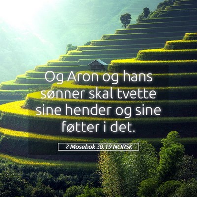 Picture 05 - 2 Mosebok 30:19 NORSK - Og Aron og hans sønner skal tvette sine hender - Bible Verse Picture