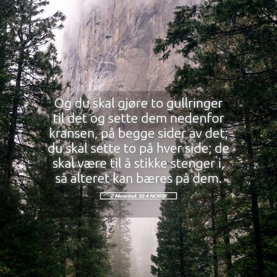Picture 05 - 2 Mosebok 30:4 NORSK - Og du skal gjøre to gullringer til det og sette - Bible Verse Picture