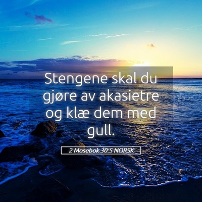 Picture 05 - 2 Mosebok 30:5 NORSK - Stengene skal du gjøre av akasietre og klæ dem - Bible Verse Picture