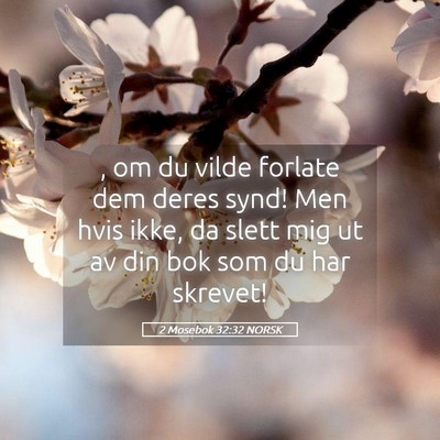Picture 05 - 2 Mosebok 32:32 NORSK - , om du vilde forlate dem deres synd! Men hvis - Bible Verse Picture
