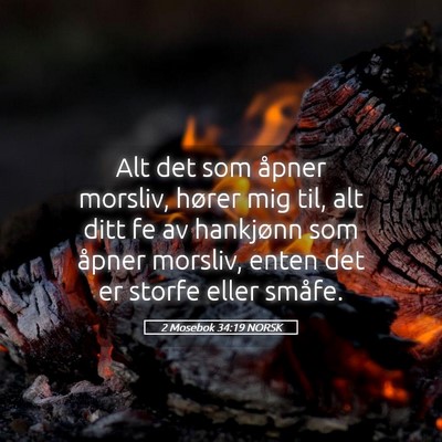 Picture 05 - 2 Mosebok 34:19 NORSK - Alt det som åpner morsliv, hører mig til, alt - Bible Verse Picture