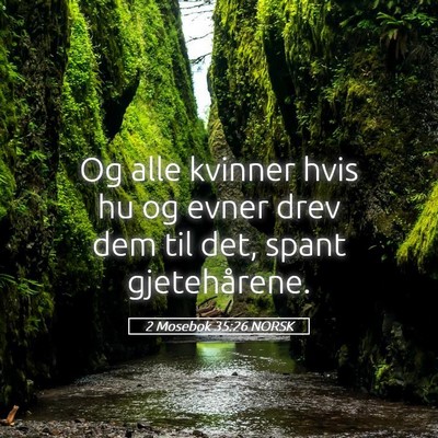 Picture 05 - 2 Mosebok 35:26 NORSK - Og alle kvinner hvis hu og evner drev dem til - Bible Verse Picture