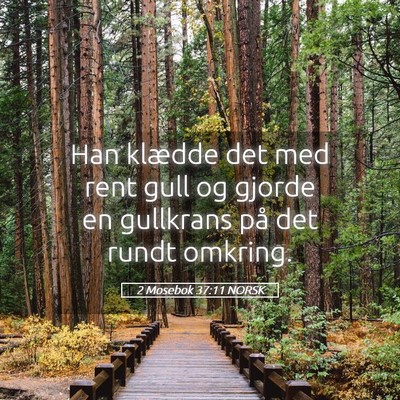 Picture 05 - 2 Mosebok 37:11 NORSK - Han klædde det med rent gull og gjorde en - Bible Verse Picture