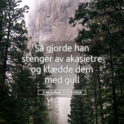 Picture 05 - 2 Mosebok 37:4 NORSK - Så gjorde han stenger av akasietre og klædde - Bible Verse Picture