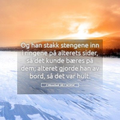 Picture 05 - 2 Mosebok 38:7 NORSK - Og han stakk stengene inn i ringene på alterets - Bible Verse Picture