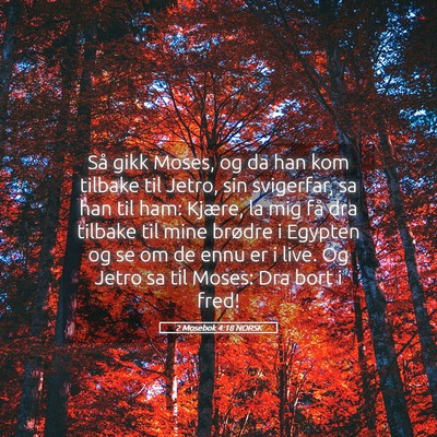 Picture 05 - 2 Mosebok 4:18 NORSK - Så gikk Moses, og da han kom tilbake til Jetro, - Bible Verse Picture