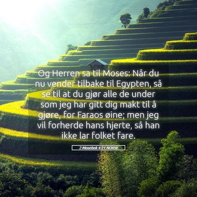 Picture 05 - 2 Mosebok 4:21 NORSK - Og Herren sa til Moses: Når du nu vender tilbake - Bible Verse Picture