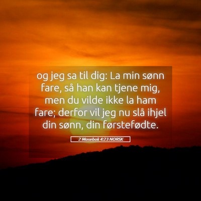 Picture 05 - 2 Mosebok 4:23 NORSK - og jeg sa til dig: La min sønn fare, så han kan - Bible Verse Picture