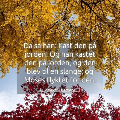 Picture 05 - 2 Mosebok 4:3 NORSK - Da sa han: Kast den på jorden! Og han kastet den - Bible Verse Picture