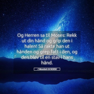 Picture 05 - 2 Mosebok 4:4 NORSK - Og Herren sa til Moses: Rekk ut din hånd og grip - Bible Verse Picture