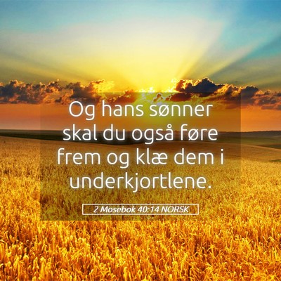 Picture 05 - 2 Mosebok 40:14 NORSK - Og hans sønner skal du også føre frem og klæ - Bible Verse Picture