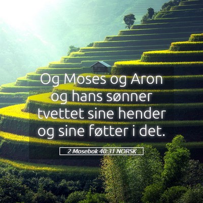 Picture 05 - 2 Mosebok 40:31 NORSK - Og Moses og Aron og hans sønner tvettet sine - Bible Verse Picture