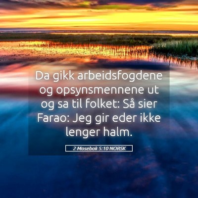 Picture 05 - 2 Mosebok 5:10 NORSK - Da gikk arbeidsfogdene og opsynsmennene ut og sa - Bible Verse Picture