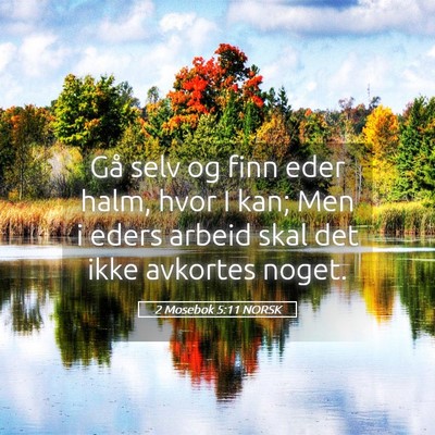 Picture 05 - 2 Mosebok 5:11 NORSK - Gå selv og finn eder halm, hvor I kan; Men i - Bible Verse Picture