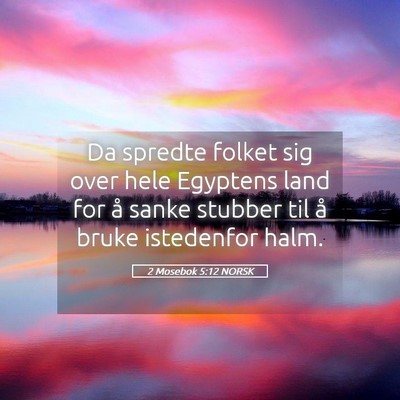 Picture 05 - 2 Mosebok 5:12 NORSK - Da spredte folket sig over hele Egyptens land for - Bible Verse Picture