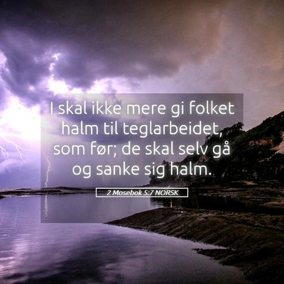 Picture 05 - 2 Mosebok 5:7 NORSK - I skal ikke mere gi folket halm til teglarbeidet, - Bible Verse Picture