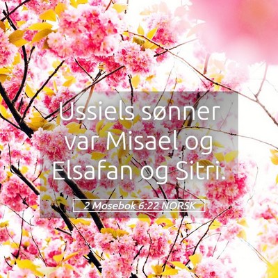 Picture 05 - 2 Mosebok 6:22 NORSK - Ussiels sønner var Misael og Elsafan og - Bible Verse Picture