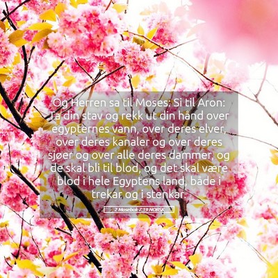 Picture 05 - 2 Mosebok 7:19 NORSK - Og Herren sa til Moses: Si til Aron: Ta din stav - Bible Verse Picture