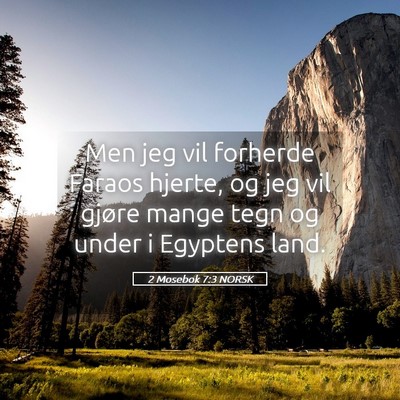Picture 05 - 2 Mosebok 7:3 NORSK - Men jeg vil forherde Faraos hjerte, og jeg vil - Bible Verse Picture