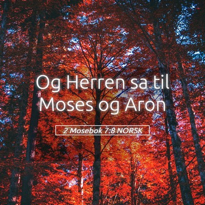 Picture 05 - 2 Mosebok 7:8 NORSK - Og Herren sa til Moses og - Bible Verse Picture