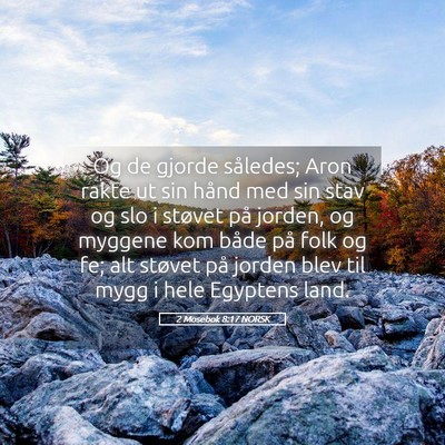 Picture 05 - 2 Mosebok 8:17 NORSK - Og de gjorde således; Aron rakte ut sin hånd - Bible Verse Picture