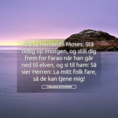 Picture 05 - 2 Mosebok 8:20 NORSK - Da sa Herren til Moses: Stå tidlig op imorgen, - Bible Verse Picture