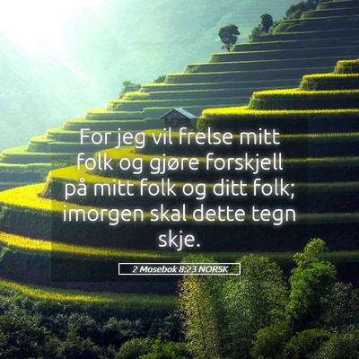 Picture 05 - 2 Mosebok 8:23 NORSK - For jeg vil frelse mitt folk og gjøre forskjell - Bible Verse Picture