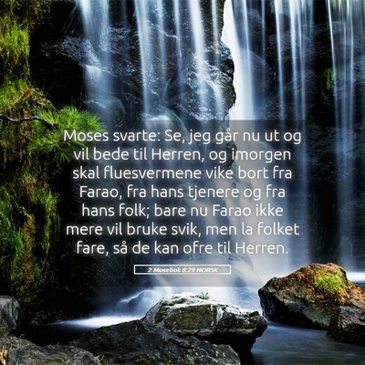 Picture 05 - 2 Mosebok 8:29 NORSK - Moses svarte: Se, jeg går nu ut og vil bede til - Bible Verse Picture