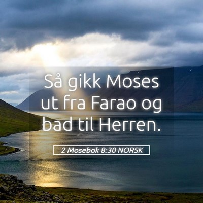 Picture 05 - 2 Mosebok 8:30 NORSK - Så gikk Moses ut fra Farao og bad til - Bible Verse Picture