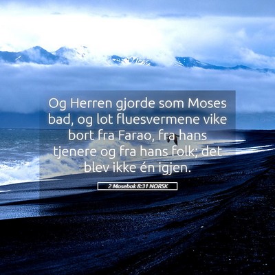 Picture 05 - 2 Mosebok 8:31 NORSK - Og Herren gjorde som Moses bad, og lot - Bible Verse Picture