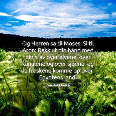 Picture 05 - 2 Mosebok 8:5 NORSK - Og Herren sa til Moses: Si til Aron: Rekk ut din - Bible Verse Picture