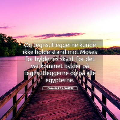 Picture 05 - 2 Mosebok 9:11 NORSK - Og tegnsutleggerne kunde ikke holde stand mot - Bible Verse Picture
