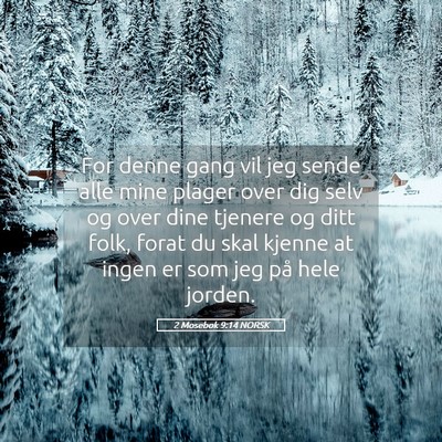 Picture 05 - 2 Mosebok 9:14 NORSK - For denne gang vil jeg sende alle mine plager - Bible Verse Picture