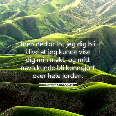 Picture 05 - 2 Mosebok 9:16 NORSK - men derfor lot jeg dig bli i live at jeg kunde - Bible Verse Picture