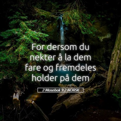 Picture 05 - 2 Mosebok 9:2 NORSK - For dersom du nekter å la dem fare og fremdeles - Bible Verse Picture
