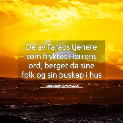Picture 05 - 2 Mosebok 9:20 NORSK - De av Faraos tjenere som fryktet Herrens ord, - Bible Verse Picture