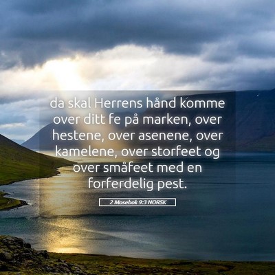 Picture 05 - 2 Mosebok 9:3 NORSK - da skal Herrens hånd komme over ditt fe på - Bible Verse Picture