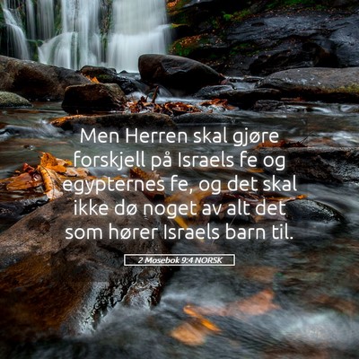 Picture 05 - 2 Mosebok 9:4 NORSK - Men Herren skal gjøre forskjell på Israels fe - Bible Verse Picture