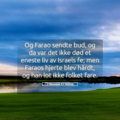 Picture 05 - 2 Mosebok 9:7 NORSK - Og Farao sendte bud, og da var det ikke død et - Bible Verse Picture