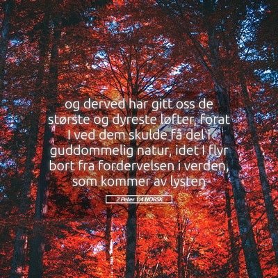 Picture 05 - 2 Peter 1:4 NORSK - og derved har gitt oss de største og dyreste - Bible Verse Picture