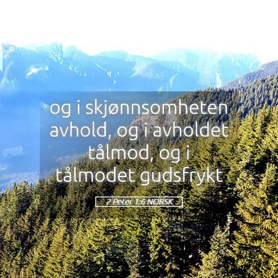 Picture 05 - 2 Peter 1:6 NORSK - og i skjønnsomheten avhold, og i avholdet - Bible Verse Picture