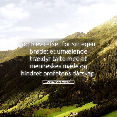 Picture 05 - 2 Peter 2:16 NORSK - og blev refset for sin egen brøde: et umælende - Bible Verse Picture