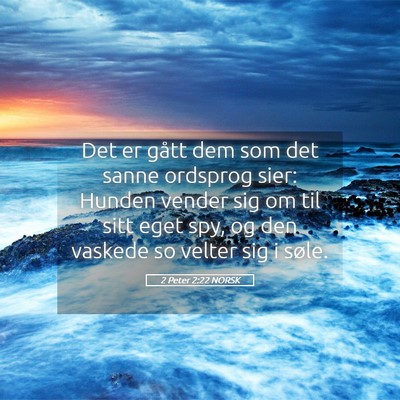 Picture 05 - 2 Peter 2:22 NORSK - Det er gått dem som det sanne ordsprog sier: - Bible Verse Picture